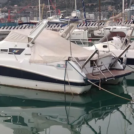 Coast Top Gun אמאלפי